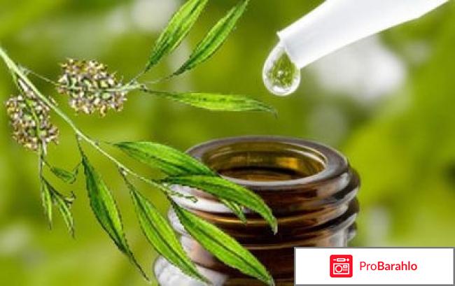 Масло чайного дерева против 6 болезней отрицательные отзывы