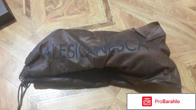 Alessio nesca официальный сайт обман