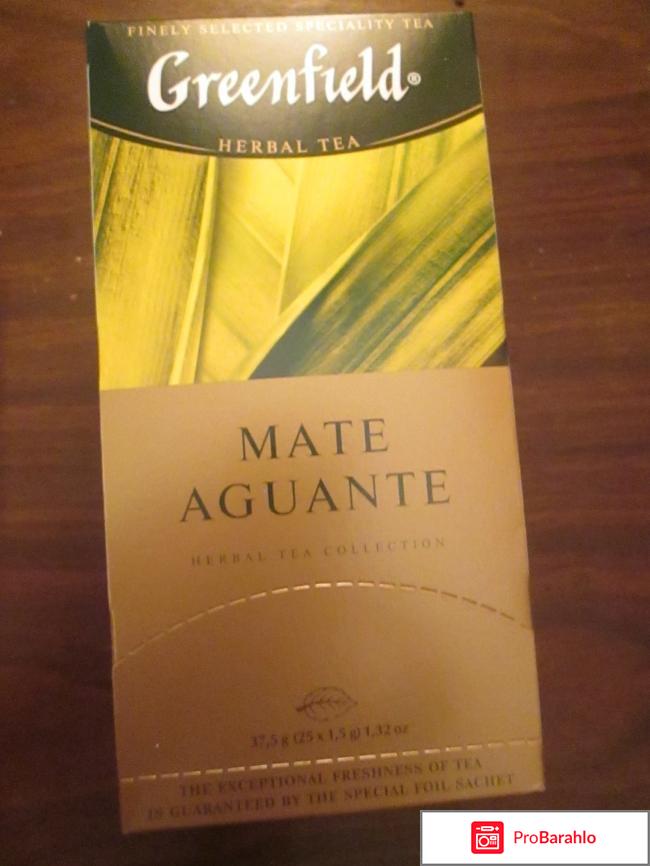 Чай Greenfield Mate Aguante 