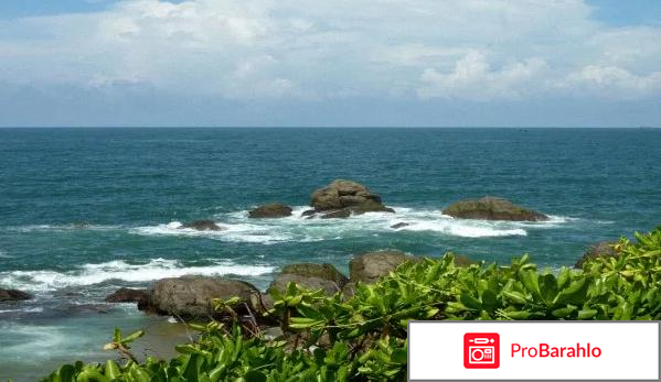 Шри ланка в ноябре отзывы туристов отрицательные отзывы