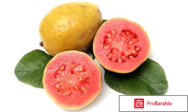 Гуава – фрукт теплых стран: состав и полезные свойства 