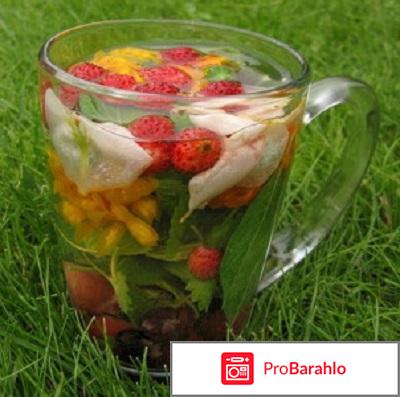 Сбор почечный отрицательные отзывы