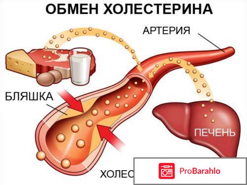 Как понизить холестерин в домашних условиях быстро 