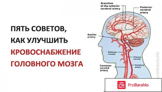 Циннаризин цена отзывы аналоги реальные отзывы