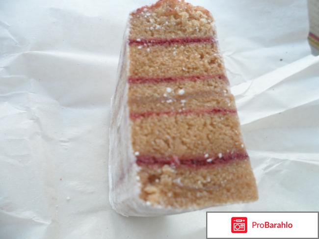 Белёвская пастила яблочная с клюквой обман