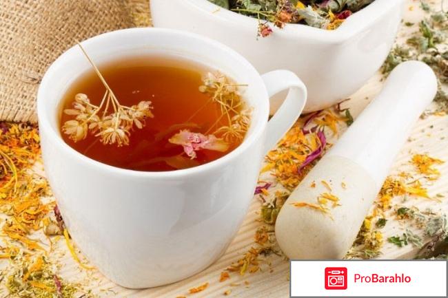 Лечение ожирения народными средствами: сборы трав отзывы владельцев