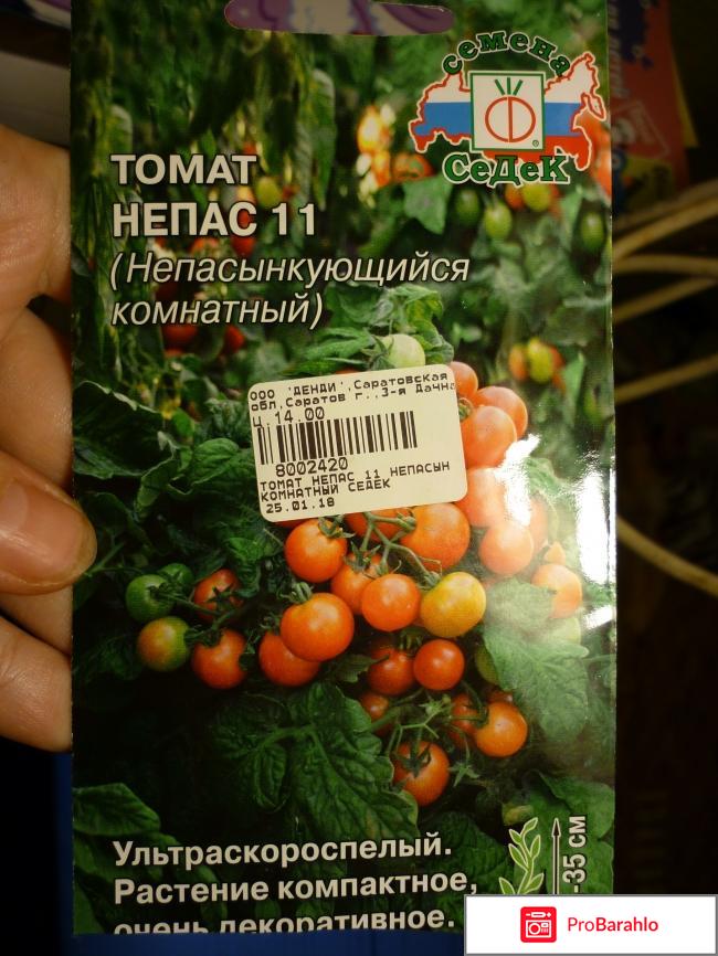 Томат Непас 11 (непасынкующийся комнатный) 
