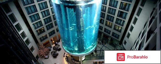 Отель Radisson Blu Hotel Berlin отрицательные отзывы