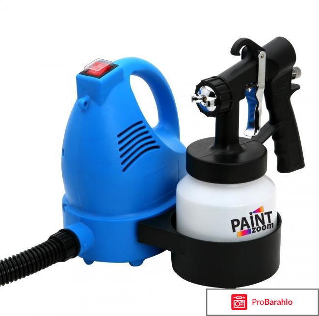 Пейнт зум отрицательные отзывы