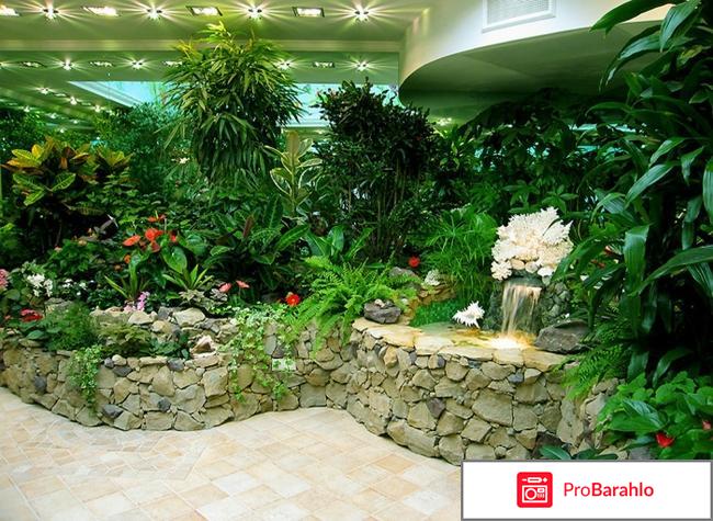 Зимний сад в детском саду 