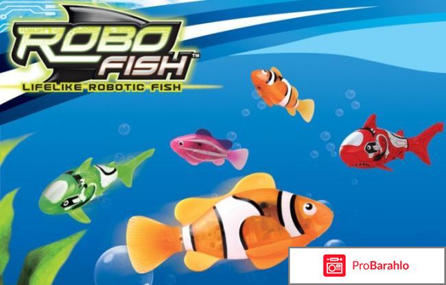 Robofish обман