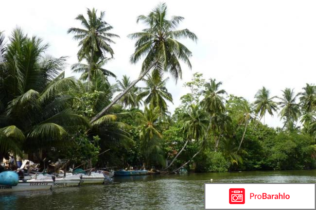 Шри ланка в ноябре отзывы туристов реальные отзывы
