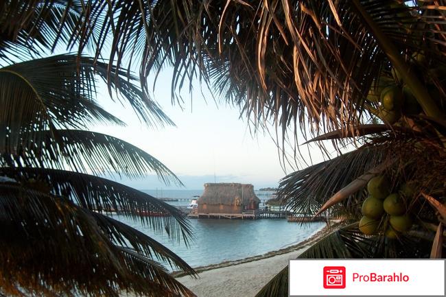 Белиз обман