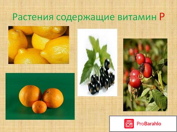 Витамин Р (Рутин) - в каких продуктах содержится, польза обман