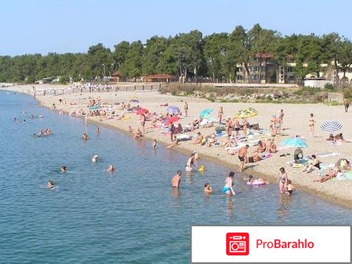 Пицунда рыбозавод частный сектор отрицательные отзывы