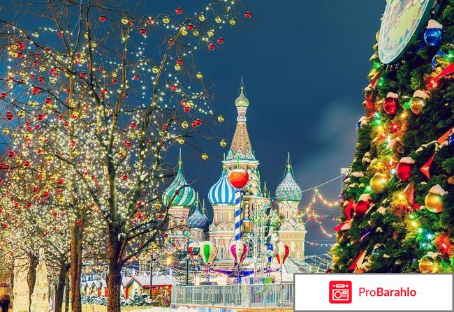 Новогодние ёлки в москве отзывы реальные отзывы