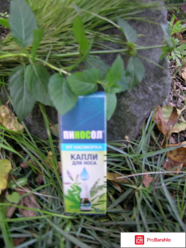 Капли назальные Пиносол 