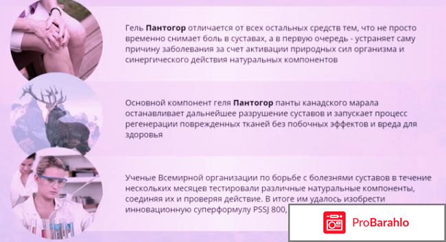 Пантогор гель для суставов купить 