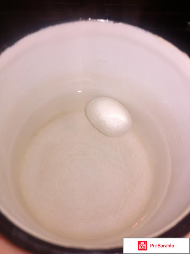 Коконы шелкопряда отзывы владельцев