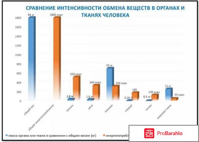 Особенности ускорения метаболизма 