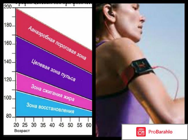 Расчет пульса для сжигания жира 