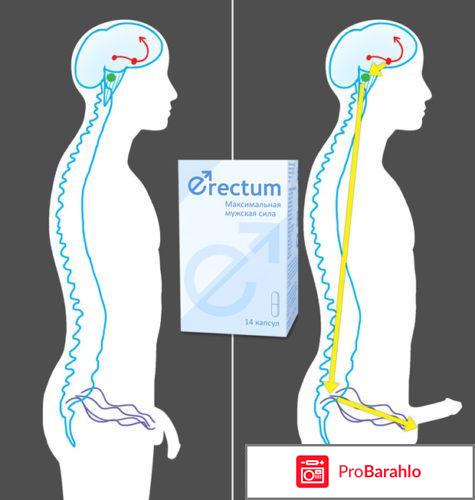 Erectum для потенции, Эректум - развод или нет? Отзывы... отрицательные отзывы