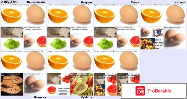 Магги яичная диета на 4 недели отзывы 