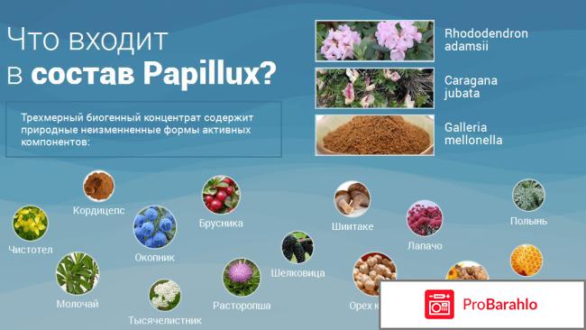 Papillux отрицательные отзывы отрицательные отзывы