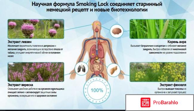 Smoking Lock обман