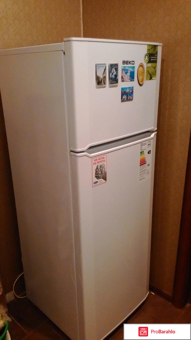 Beko DS 328000 холодильник обман