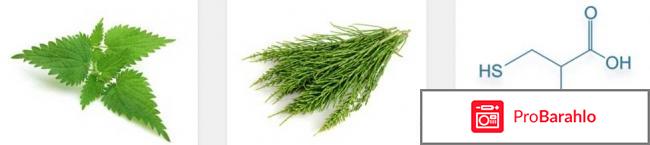 PROFOLAN реальные отзывы