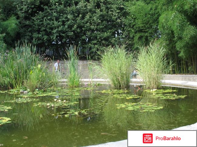 Крым для молодежи обман