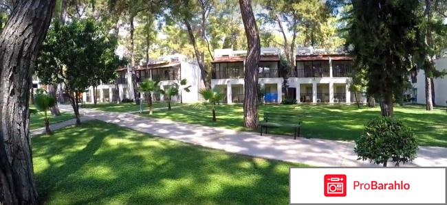 Отзывы otium hotel life 5 реальные отзывы