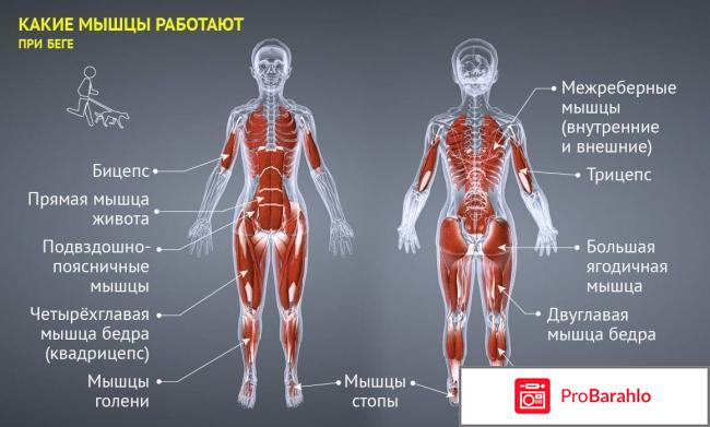 Что худеет при беге на беговой дорожке? обман