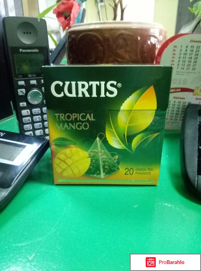 Зеленый чай CURTIS Delicate Mango отрицательные отзывы