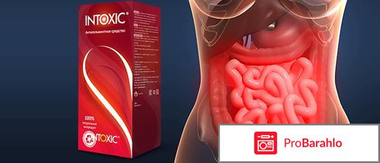 Intoxic очередной развод цена 