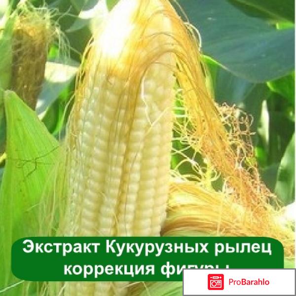 Худеем с помощью кукурузных рылец 