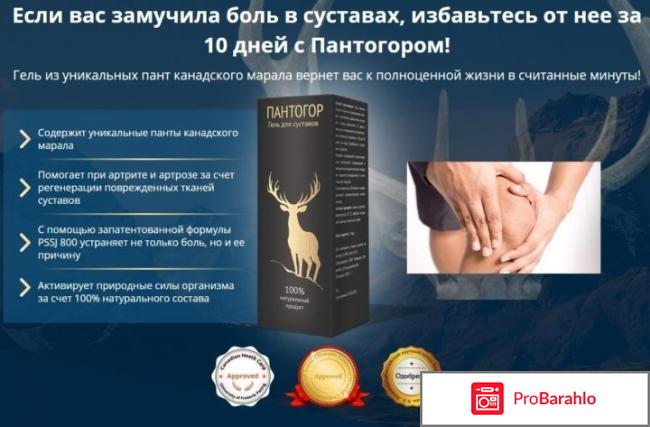 Пантогор гель отрицательные отзывы