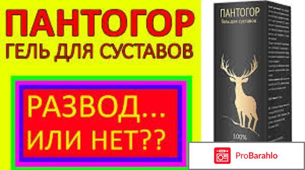 Пантогор гель для суставов 