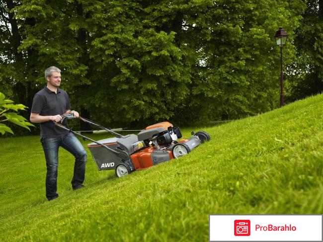 Стрижка и удобрение газонов 