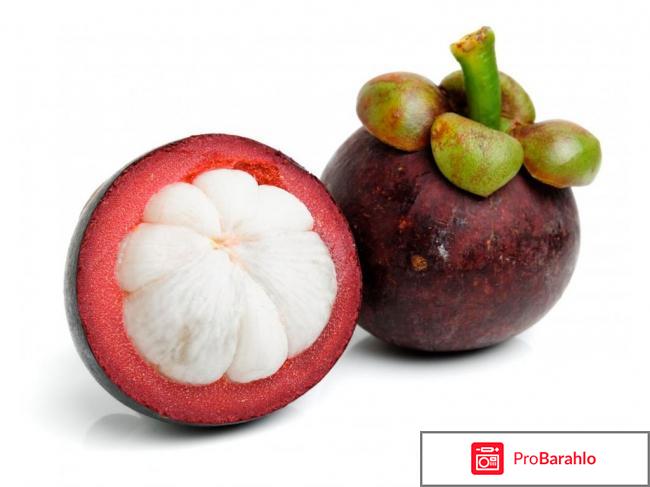 Mangosteen отзывы 