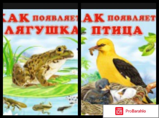 Книга  Как появляется бабочка 