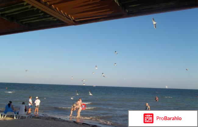 Дешево отдых в крыму реальные отзывы